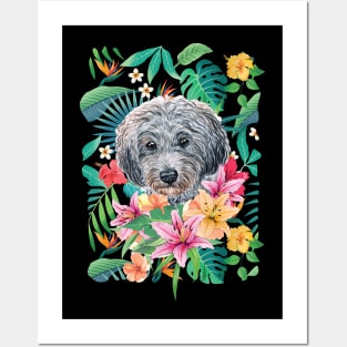 Tropical Gray Silver Toy Poodle 2 Posters and Art